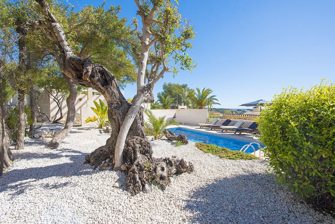 Villa Benavero Boutique Style Within Fenced Tropical Garden Calpe Buitenkant foto