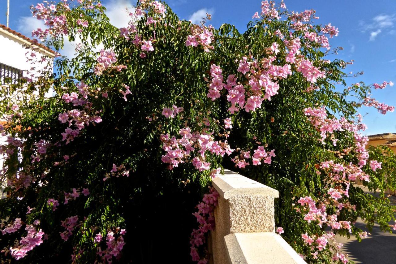Villa Benavero Boutique Style Within Fenced Tropical Garden Calpe Buitenkant foto