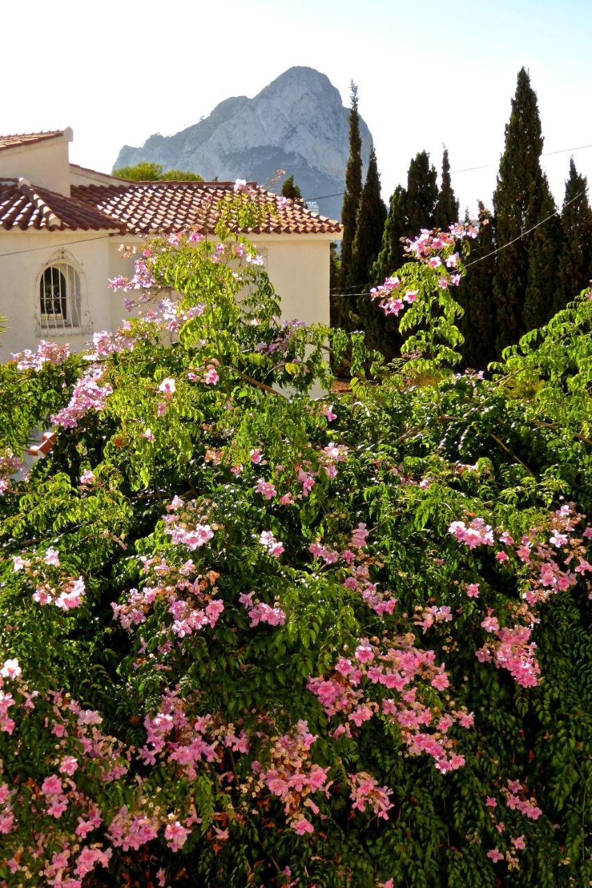 Villa Benavero Boutique Style Within Fenced Tropical Garden Calpe Buitenkant foto