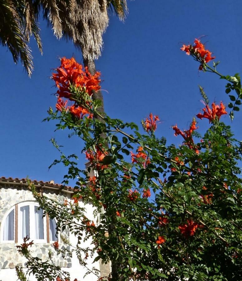 Villa Benavero Boutique Style Within Fenced Tropical Garden Calpe Buitenkant foto